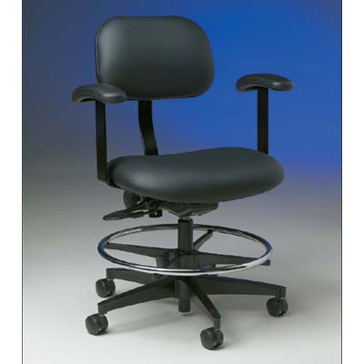 Ergonomic Chair with Armrests