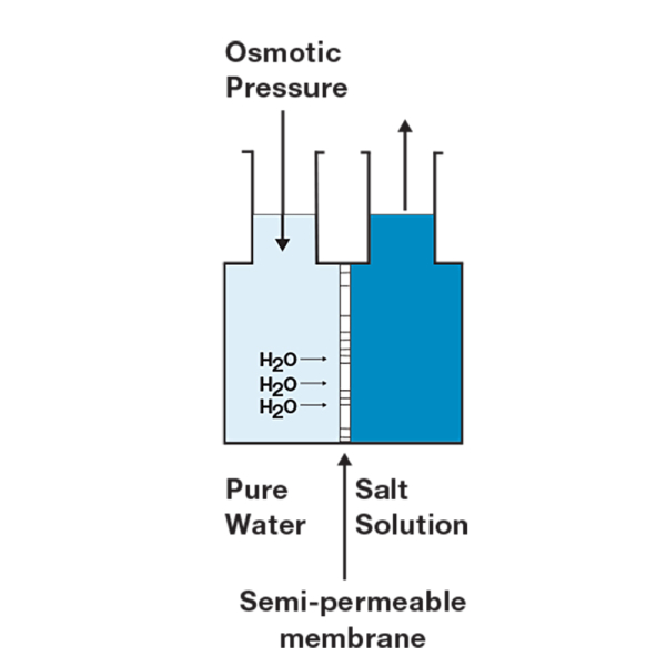 Diagram of Osmotic Flow